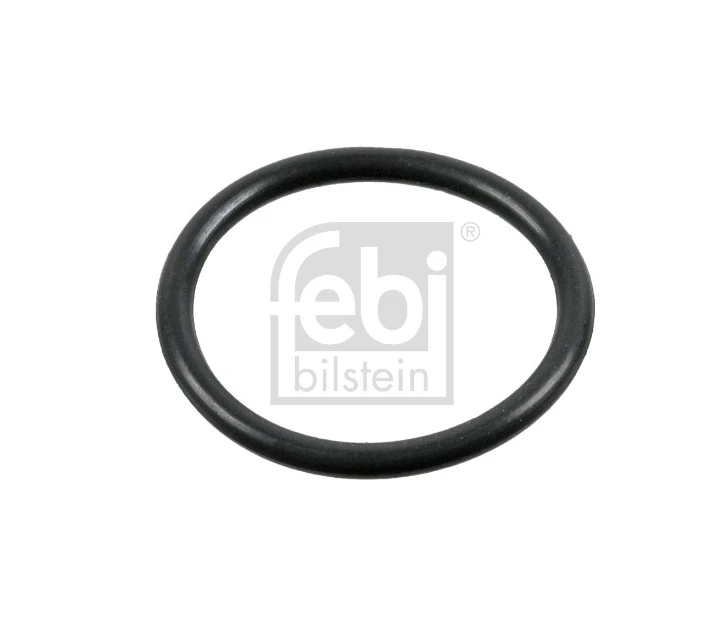 O-RING